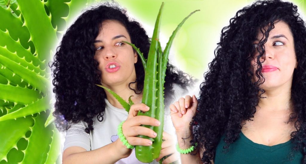 Como Hidratar o Cabelo com Babosa (Aloe Vera) - Receita Caseira Hidratao  Babosa | Luiza Costa Cachuda