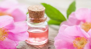 Benefícios do Óleo de Rosa Mosqueta para a Pele