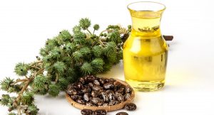 Benefícios do Óleo de Rícino para o Cabelo: minha experiência e resultados