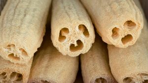 Como usar a Bucha Vegetal na pele? 01 esfoliação caseira barata e eficiente