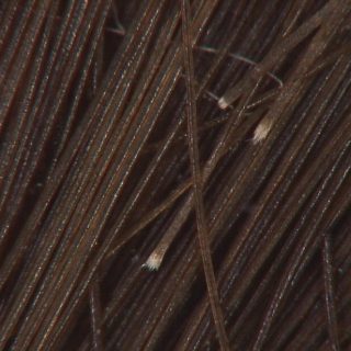 Para que serve a Amônia nas tinturas de Cabelo? Faz mal ou não?