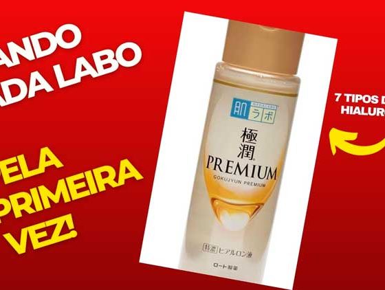 Resenha Hada Labo Loção Hidratante Gokujyun Premium Super Hyaluronic: é bom?