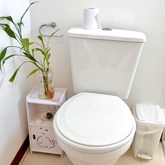 Banheiro com Feng Shui: Dicas para Harmonizar energia e atrair prosperidade