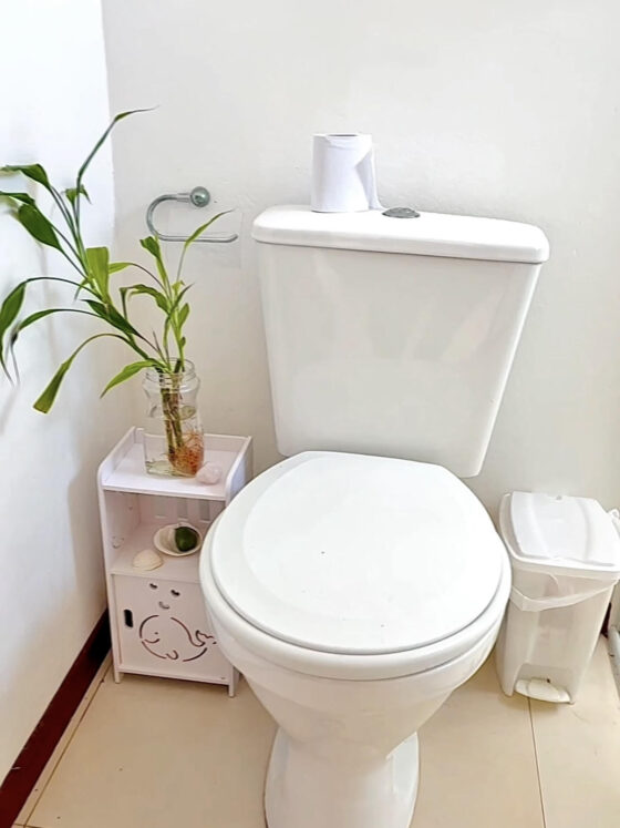 Banheiro com Feng Shui: Dicas para Harmonizar energia e atrair prosperidade