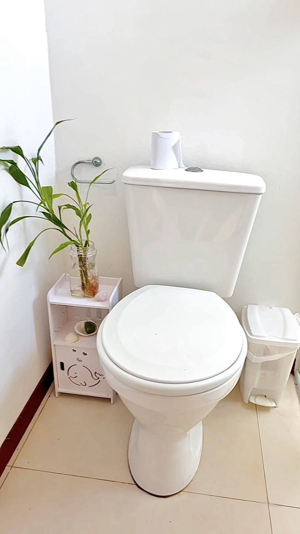 Banheiro com Feng Shui: Dicas para Harmonizar energia e atrair prosperidade